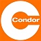 condor condor